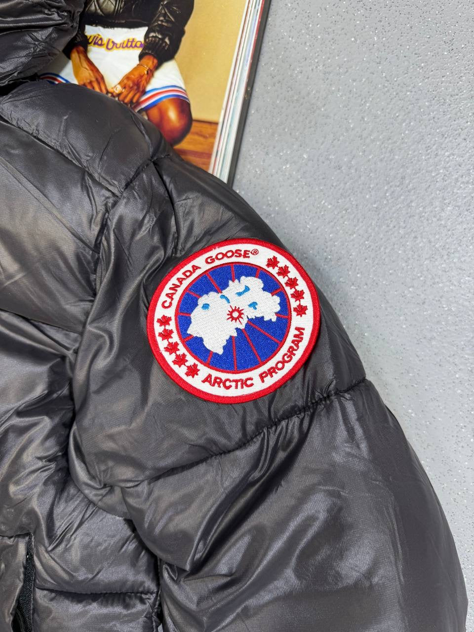 GOOSE crofton