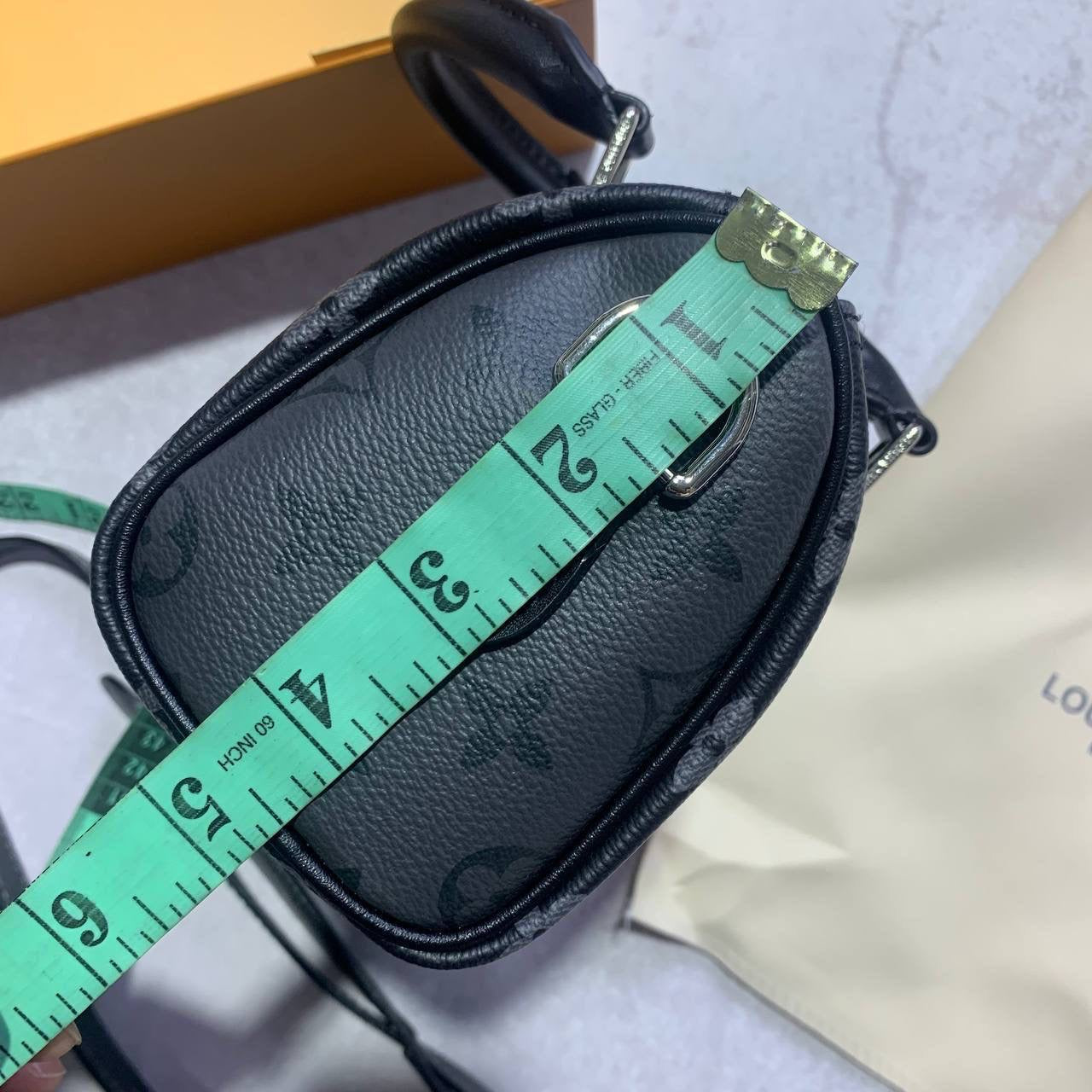 LV BACK BAG